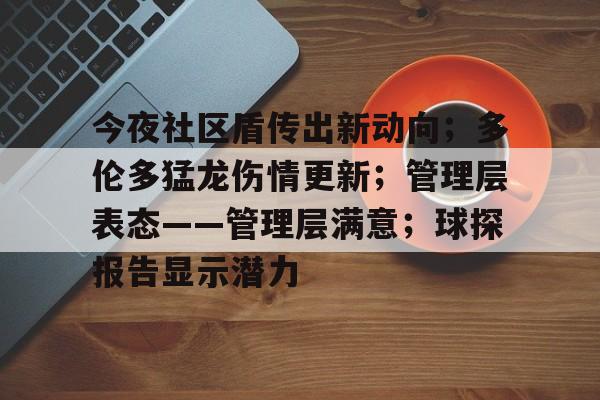 英雄联盟台服官网-关于今夜社区盾传出新动向；多伦多猛龙伤情更新；管理层表态——管理层满意；球探报告显示潜力的信息